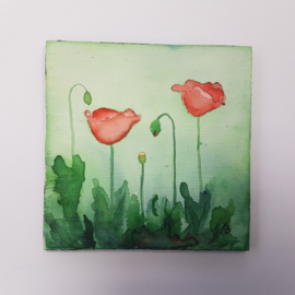 Klaprozen / Poppies: Mini aquarel