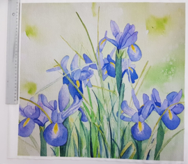 Iris 45/ 50 cm stof