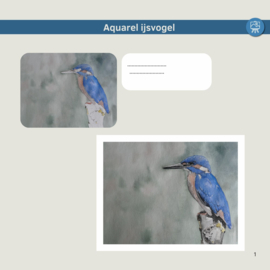 Les ijsvogel: werkbladen + lijntekening + kort realtime fragment