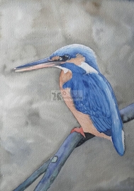 Ijsvogel aquarel schilderij