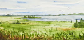 Zuidladermeer uiterwaarden aquarel schilderij