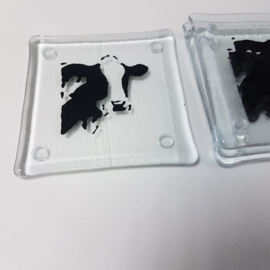 4 x glass coasters cow