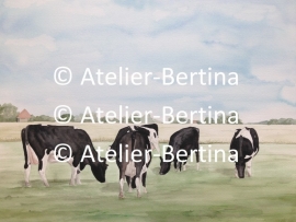 grazende koeien aquarel 2012