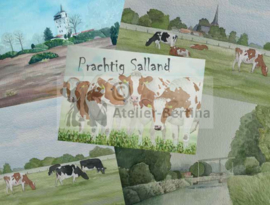 Ansichtkaart "Prachtig Salland"