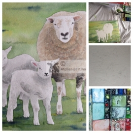 Schaap en lammetjes aquarel schilderij