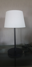 Lapwing lamp