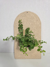 Wandecoratie voor plantje of sfeerlichtje handgemaakt keramiek