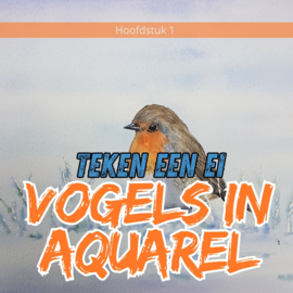 Les ijsvogel: werkbladen + lijntekening + kort realtime fragment