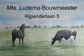 Bedrijfsnaambord ontwerp paard en koe