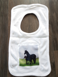 Horse bibs