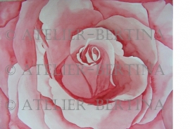 Rose Aquarelle malerei