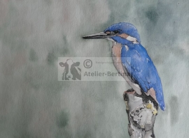 Ijsvogel aquarel schilderij