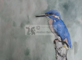 Kingfisher watercolor painting