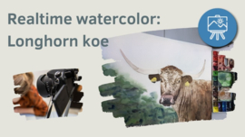 Les aquarel Longhoorn koe: Realtime tutorial video + werkbladen + lijntekening