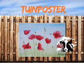 Klaprozen tuinposter