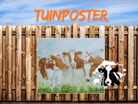Roodbont koeien tuinposter