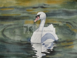 Swan watercolor painting