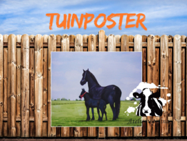 Fries paard en veulen tuinposter