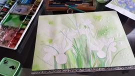 Les iris bloem aquarel: stappenplan tutorial video + werkbladen + lijntekening