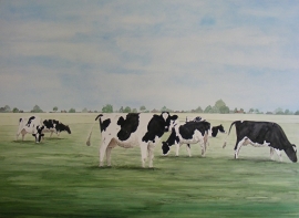 Cows watercolor painting
