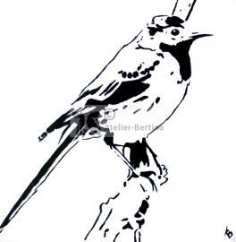 Vogel acryl schilderij