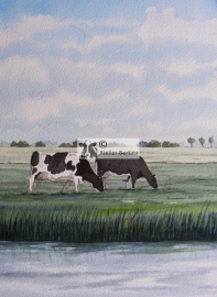 Cows watercolor painting