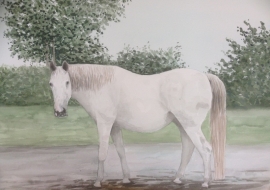 Horse watercolor painting