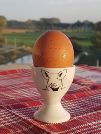 Egg holder pig