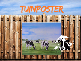 Grazende koeien tuinposter