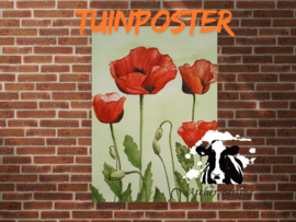 Klaprozen tuinposter