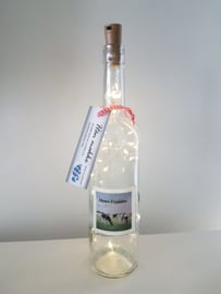 flessen lamp met led verlichting (koeien Moai Fryslân)