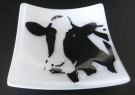 Glass cows dishes