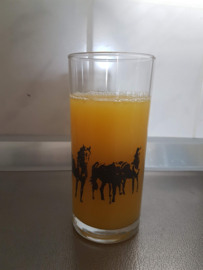 Paarden longdrinkglas