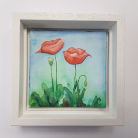 Klaprozen / Poppies: Mini aquarel