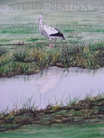 Ooievaar aquarel 2011