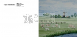 schapen landschap wenskaart