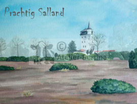 Ansichtkaart "Prachtig Salland"