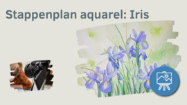 Les iris bloem aquarel: stappenplan tutorial video + werkbladen + lijntekening