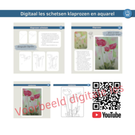 Les klaprozen schetsen en aquarel: stappenplan tutorial video + werkbladen + lijntekening