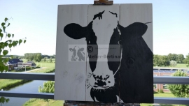 Koe op steigerhout schilderij