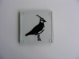 4 x glass coasters lapwing