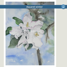 Les appelbloesem aquarel: Realtime tutorial video + werkbladen + lijntekening