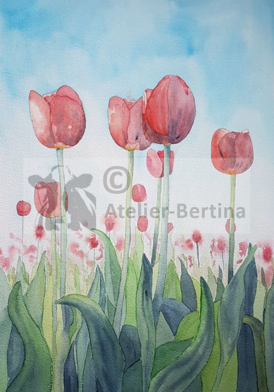 kalmeren duurzame grondstof Achtervolging Tulpen veld rood aquarel schilderij | Bloemen aquarel schilderijen |  Atelier-Bertina