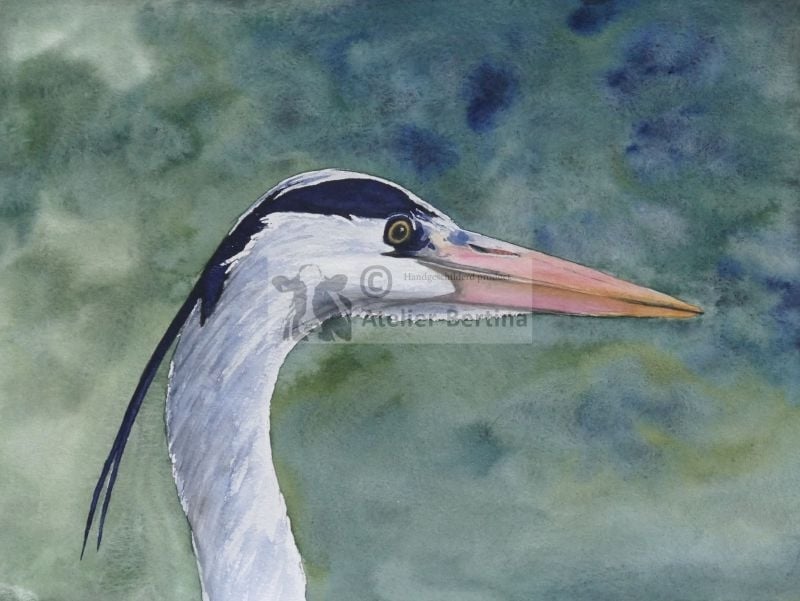  Heron watercolor painting