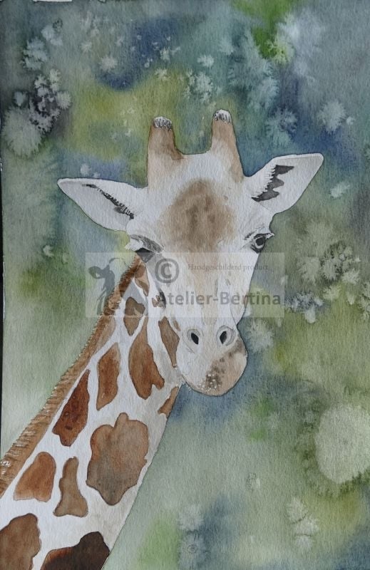 Giraffe aquarel schilderij