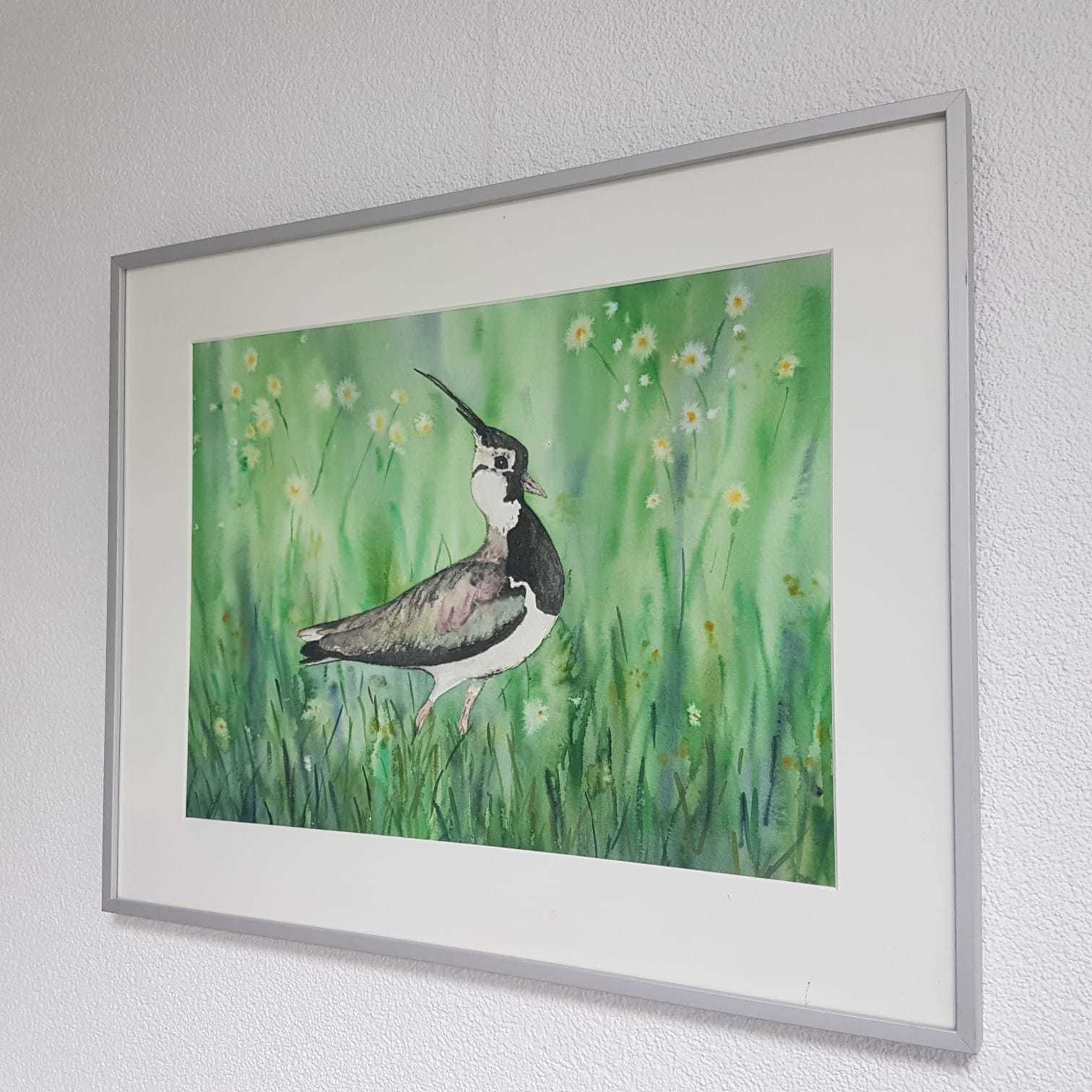 Aquarel schilderijen