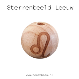 Sterrenbeeld Leeuw