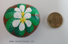 Stenen magneet bloemen Wit