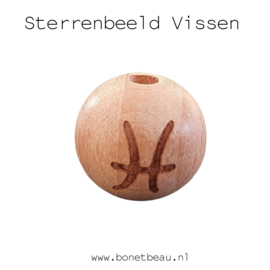 Sterrenbeeld Vissen