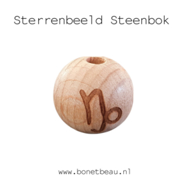 Sterrenbeeld Steenbok